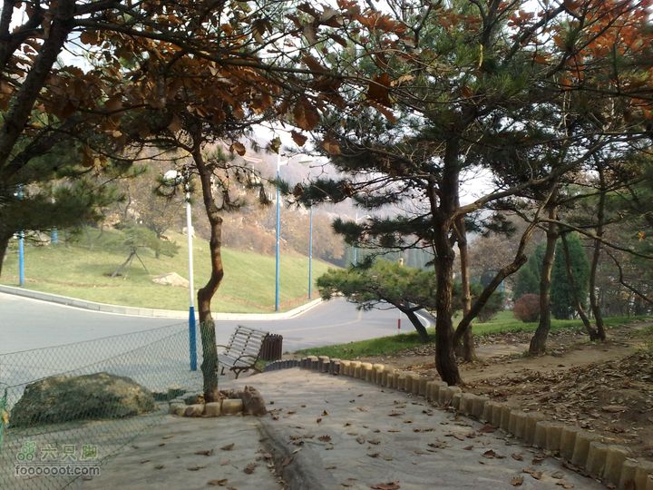 再游金州童牛岭 - 经典徒步游览路线201011051438