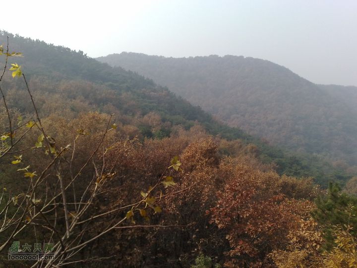 再游金州童牛岭 - 经典徒步游览路线201011051450