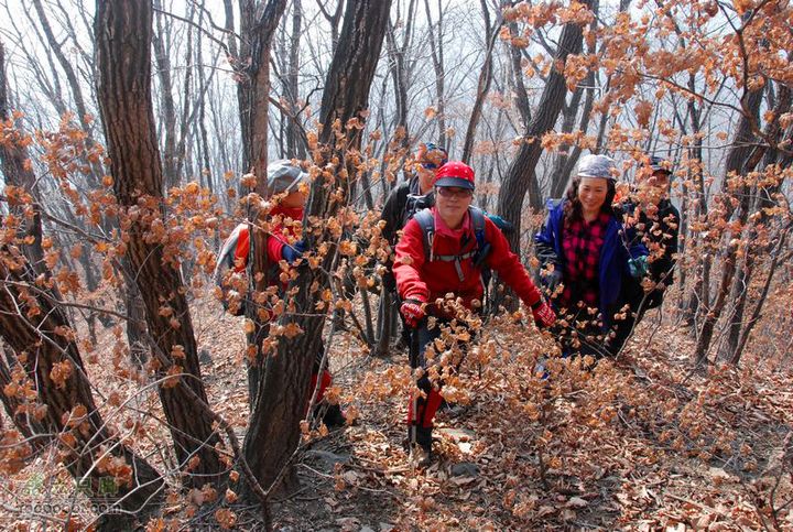 莫日红想像叶未干枯时的满山红叶