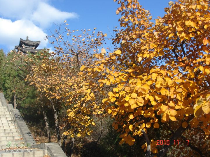 立冬追逐北京秋天的尾巴--红螺寺看红叶DSC02988