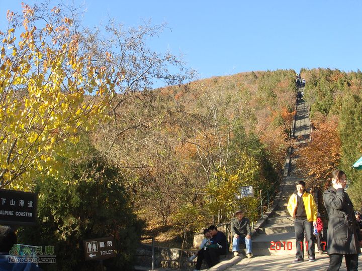 立冬追逐北京秋天的尾巴--红螺寺看红叶DSC03007
