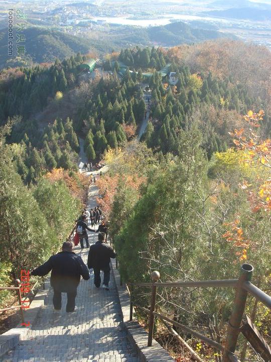 立冬追逐北京秋天的尾巴--红螺寺看红叶DSC03004