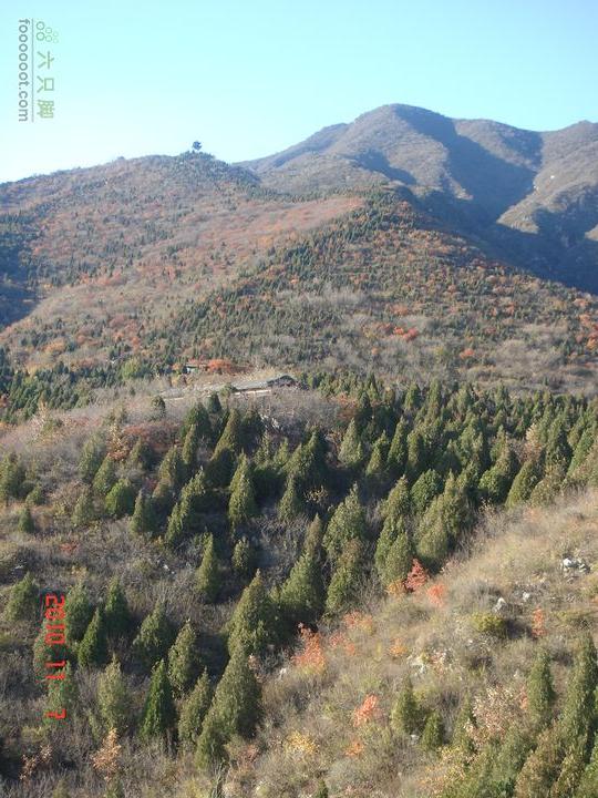 立冬追逐北京秋天的尾巴--红螺寺看红叶DSC03025