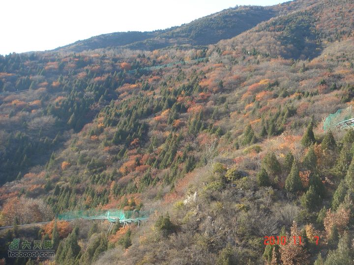 立冬追逐北京秋天的尾巴--红螺寺看红叶DSC03027