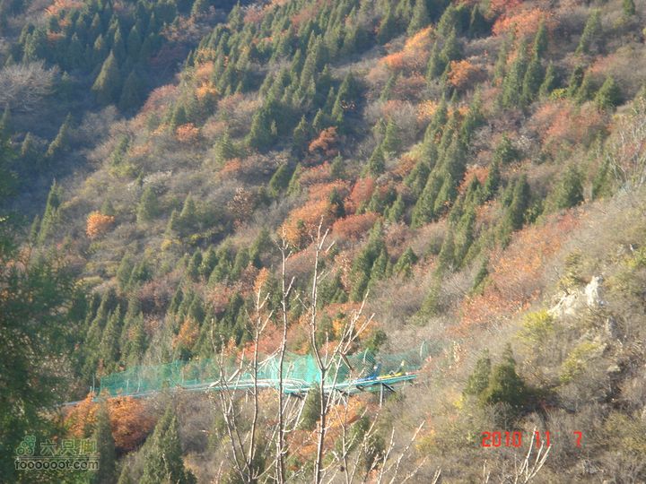 立冬追逐北京秋天的尾巴--红螺寺看红叶DSC03028
