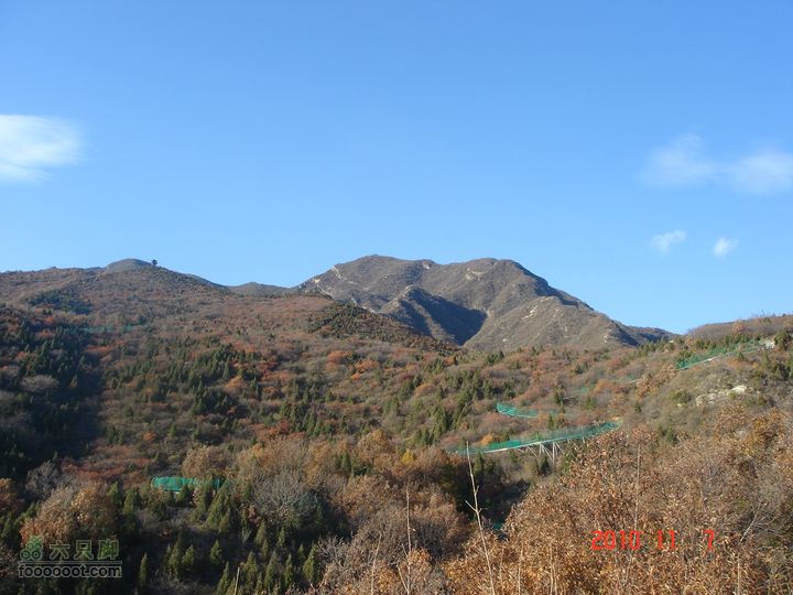 立冬追逐北京秋天的尾巴--红螺寺看红叶DSC03035