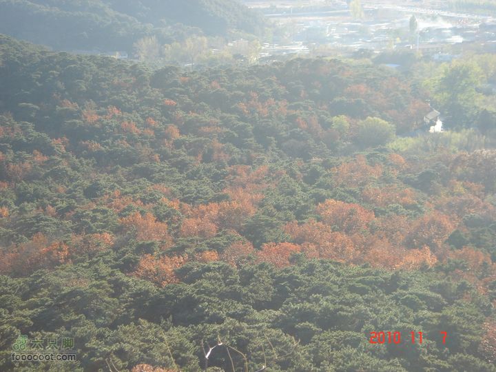 立冬追逐北京秋天的尾巴--红螺寺看红叶DSC03038