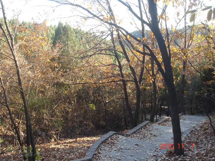 立冬追逐北京秋天的尾巴--红螺寺看红叶DSC03043