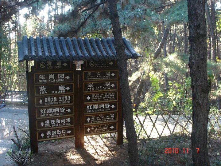立冬追逐北京秋天的尾巴--红螺寺看红叶DSC03044