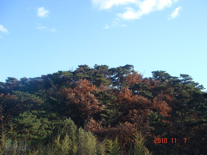 立冬追逐北京秋天的尾巴--红螺寺看红叶DSC03054