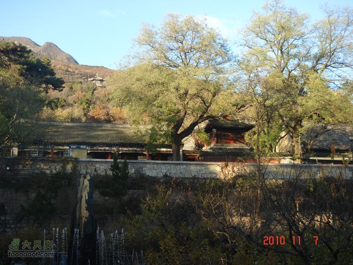立冬追逐北京秋天的尾巴--红螺寺看红叶DSC03057