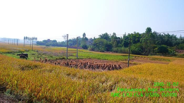 2010 11 07 磨房 200Km 騎行活動P1340065