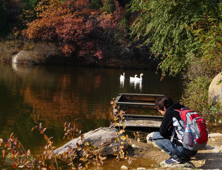 同上周:佛山陵园-白虎涧-凤凰岭三线环穿秋湖水冷谁先知