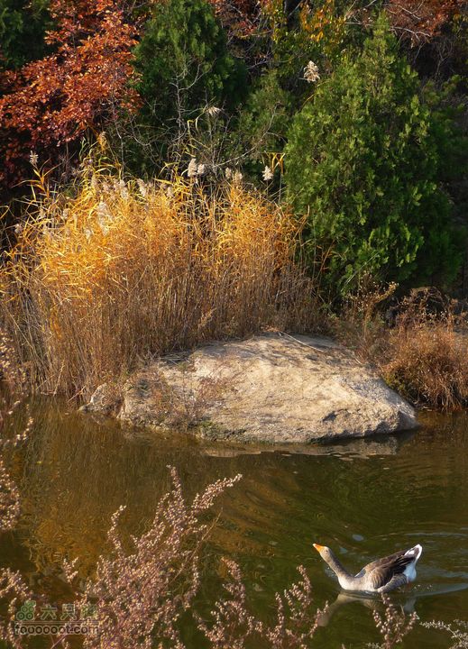 同上周:佛山陵园-白虎涧-凤凰岭三线环穿直颈向天歌