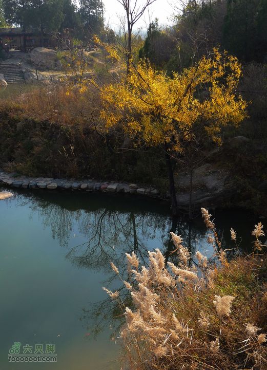 同上周:佛山陵园-白虎涧-凤凰岭三线环穿草与树的道别