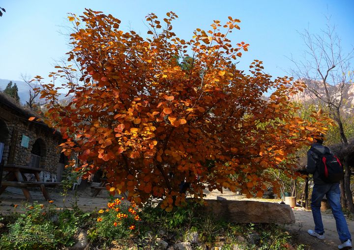 同上周:佛山陵园-白虎涧-凤凰岭三线环穿豆腐宴