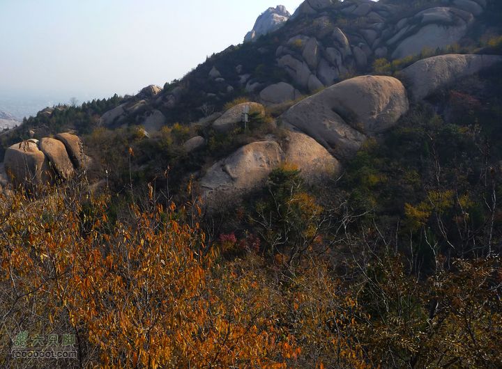 同上周:佛山陵园-白虎涧-凤凰岭三线环穿驴友路线
