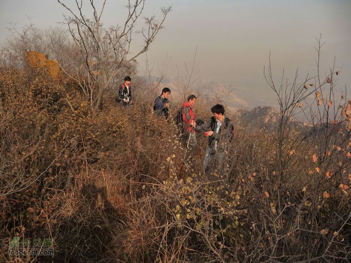 同上周:佛山陵园-白虎涧-凤凰岭三线环穿警示牌168