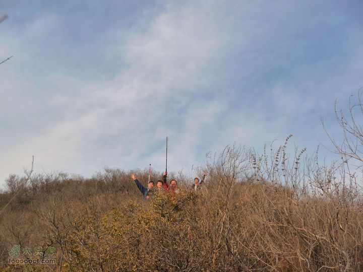 同上周:佛山陵园-白虎涧-凤凰岭三线环穿我是希瑞！