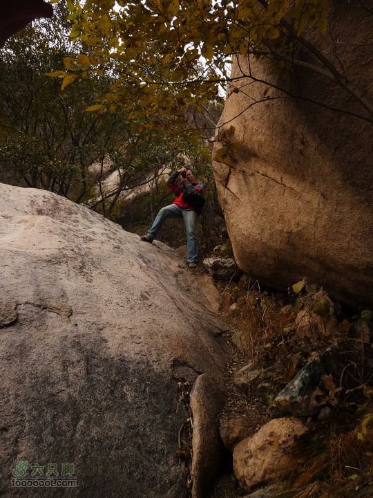 同上周:佛山陵园-白虎涧-凤凰岭三线环穿我们的摄影师