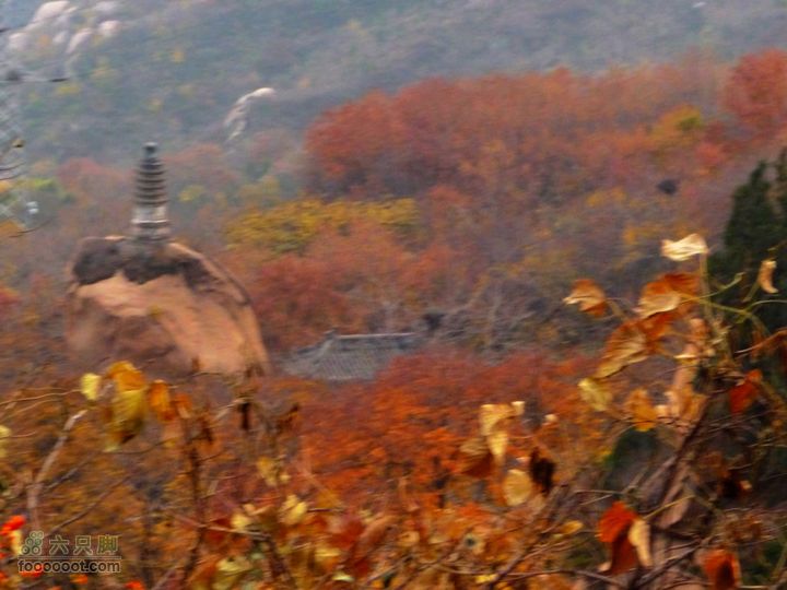 同上周:佛山陵园-白虎涧-凤凰岭三线环穿我的秋天