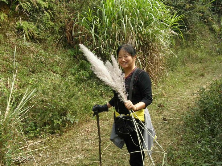 宜春近郊经典徒步之三-（七医院-院前赏花怀古路线）PA290638