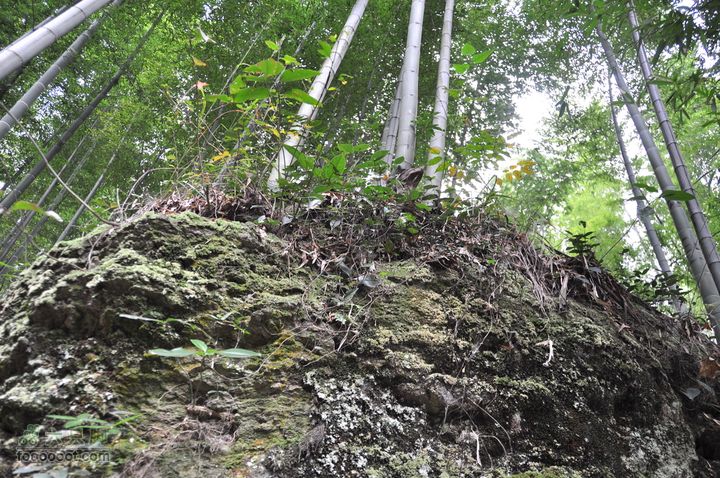 上青古道穿越IMGP6455