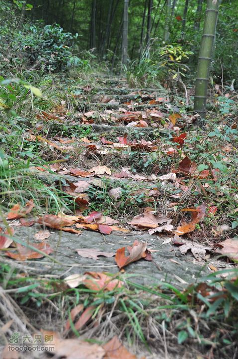 上青古道穿越IMGP6456