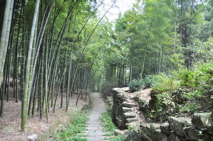 上青古道穿越IMGP6459