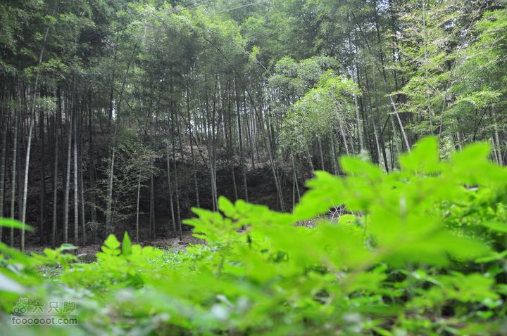 上青古道穿越IMGP6461