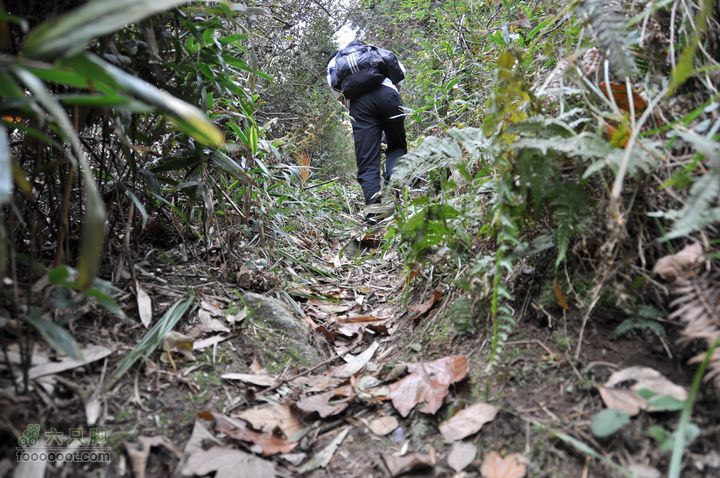 上青古道穿越IMGP6474