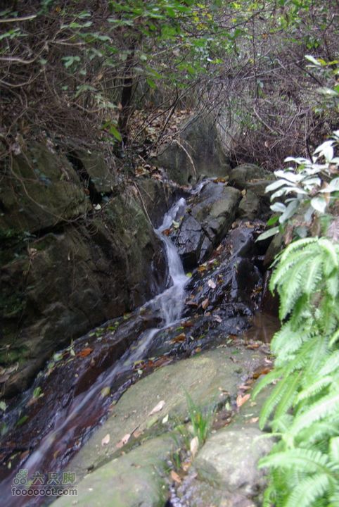 上青古道穿越IMGP6476