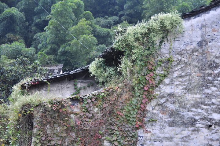 上青古道穿越IMGP6479