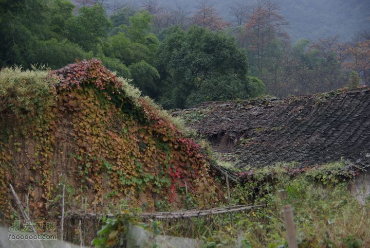 上青古道穿越IMGP6480