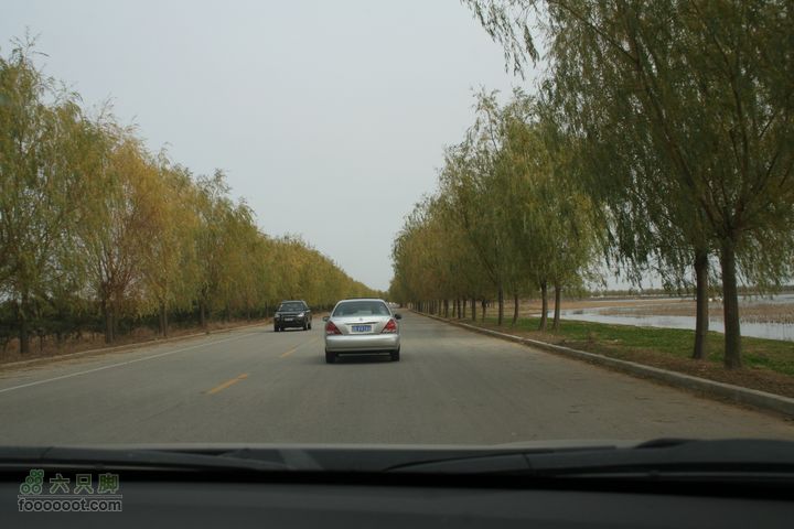青岛市莱西产芝水库2010-11-14 12-11-09