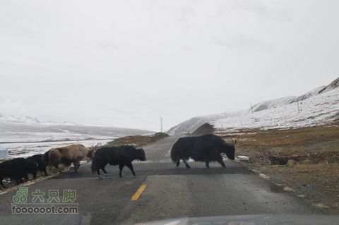 久治至色达行程DSC_9422