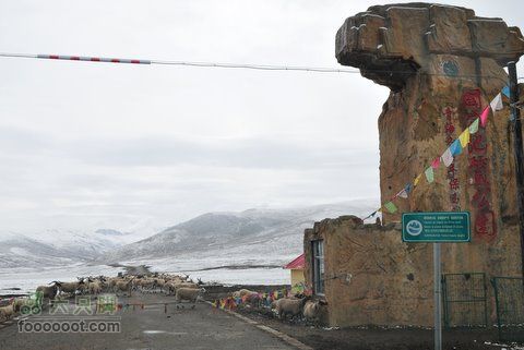 久治至色达行程DSC_9425