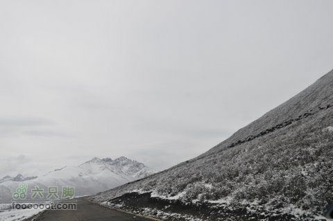 久治至色达行程DSC_9427