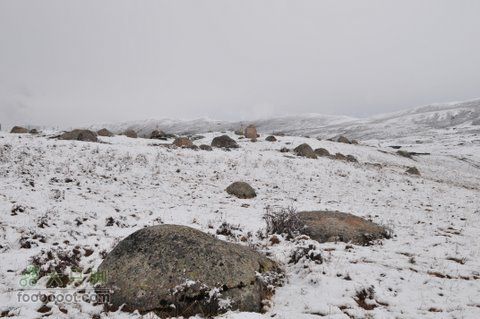 久治至色达行程DSC_9445
