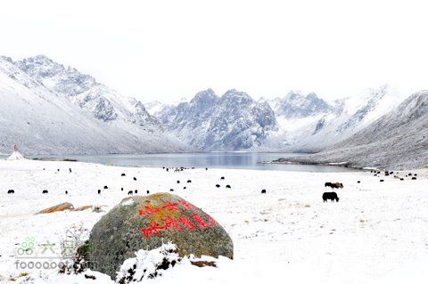 久治至色达行程DSC_9449