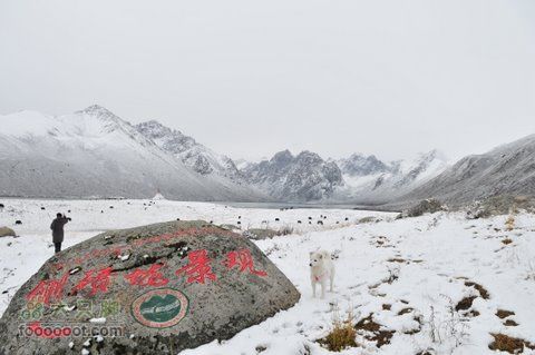 久治至色达行程DSC_9454