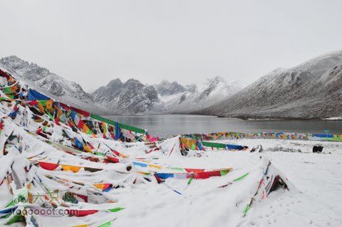 久治至色达行程DSC_9474