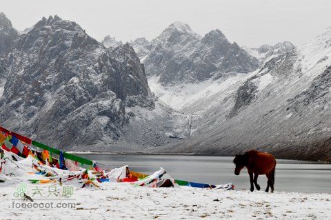 久治至色达行程DSC_9528
