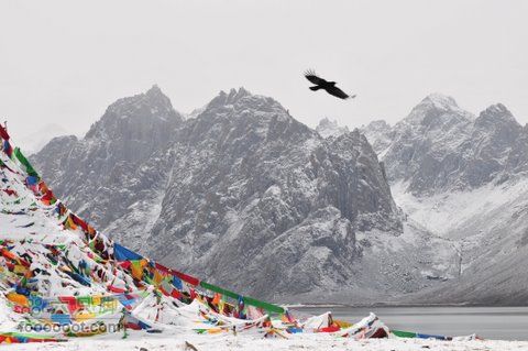 久治至色达行程DSC_9537