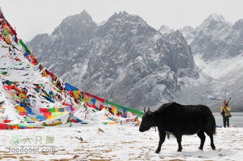 久治至色达行程DSC_9541