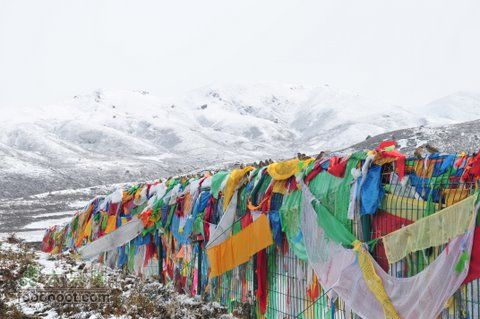 久治至色达行程DSC_9547