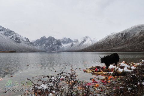 久治至色达行程DSC_9554