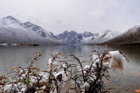 久治至色达行程DSC_9565