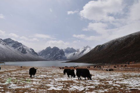 久治至色达行程DSC_9586