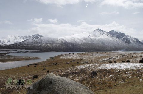 久治至色达行程DSC_9595
